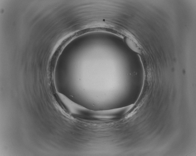 X0000071851116200606301330