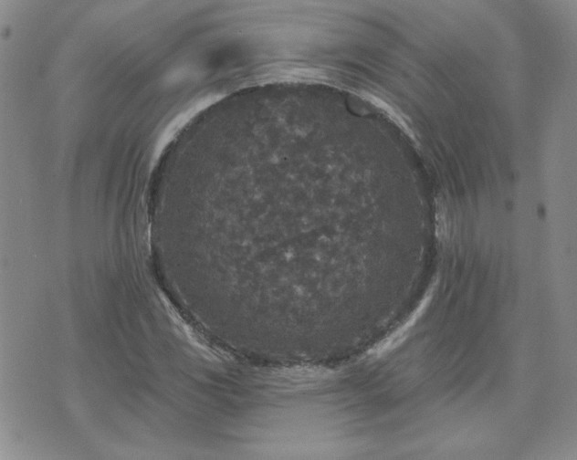 X0000071851117200606301330