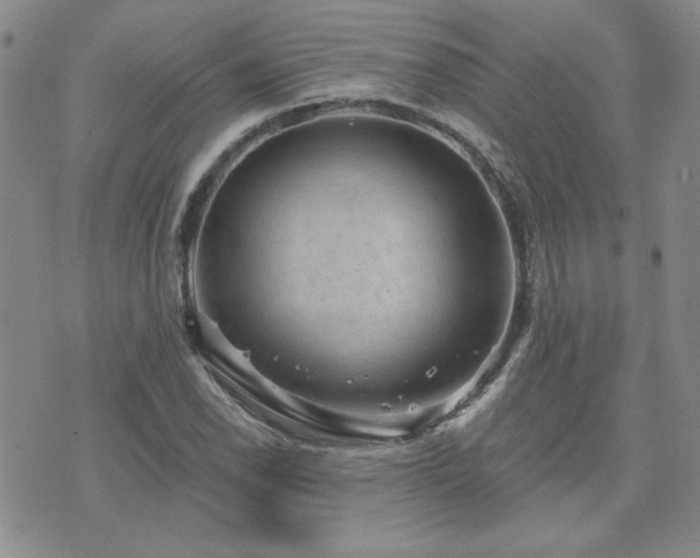 X0000071851118200606301330