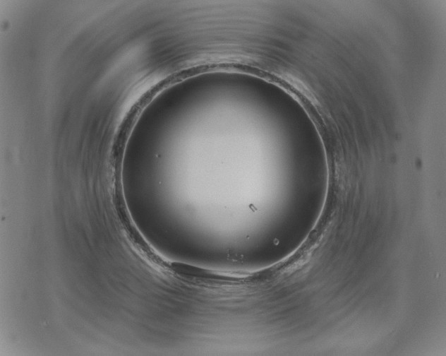 X0000071851119200606301330