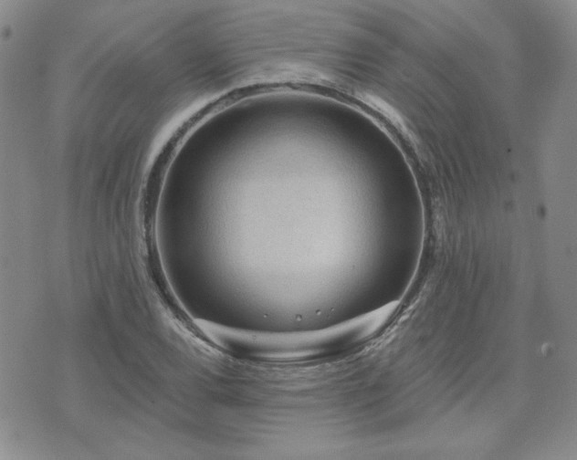 X0000071851120200606301330