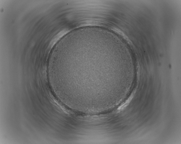 X0000071851121200606301330