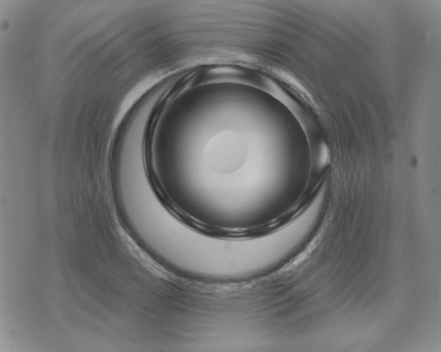 X0000071851122200606301330