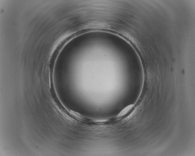 X0000071851123200606301330