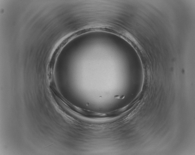 X0000071851124200606301330