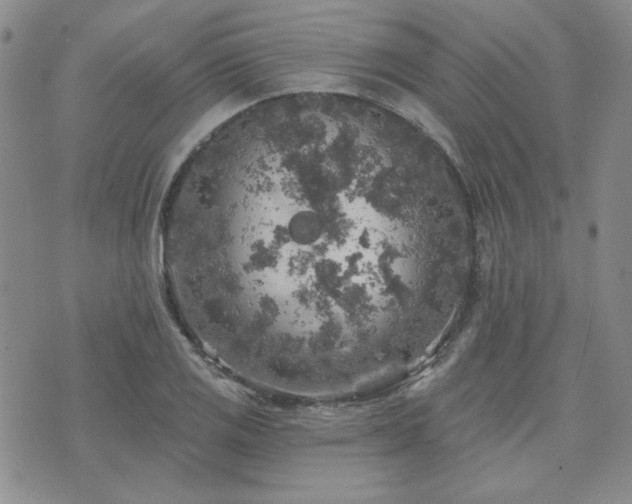 X0000071851125200606301330