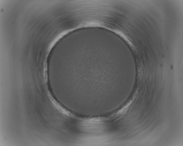 X0000071851126200606301330