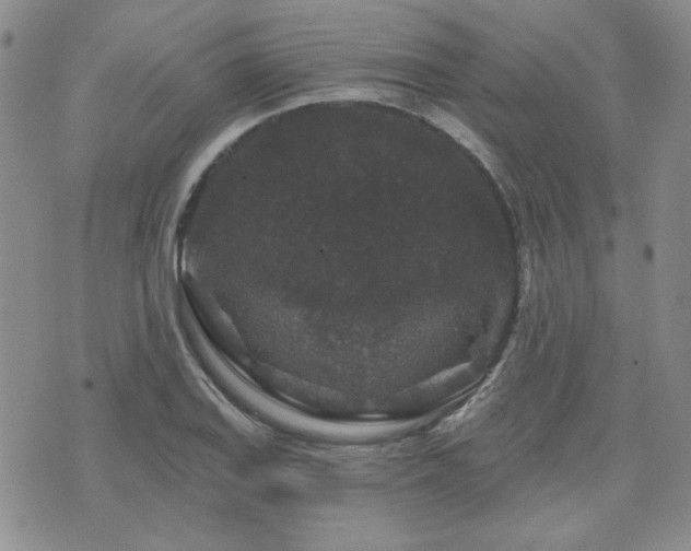 X0000071851127200606301330