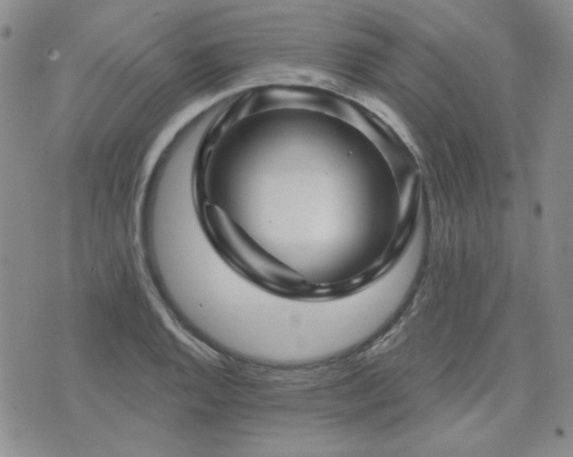 X0000071851128200606301330