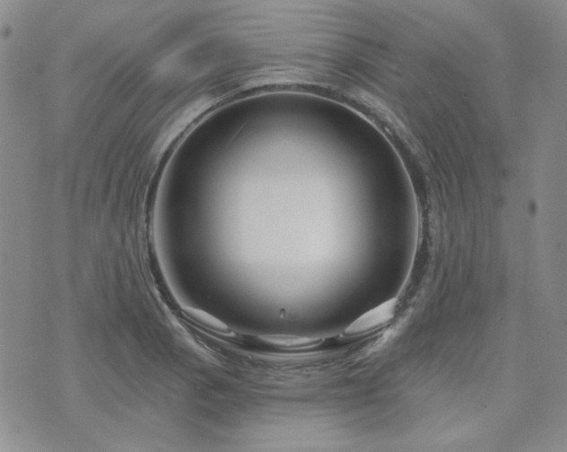 X0000071851129200606301330