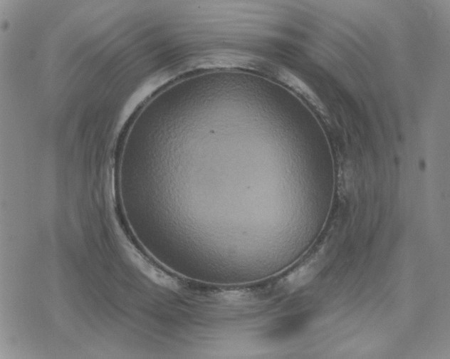 X0000071851130200606301331