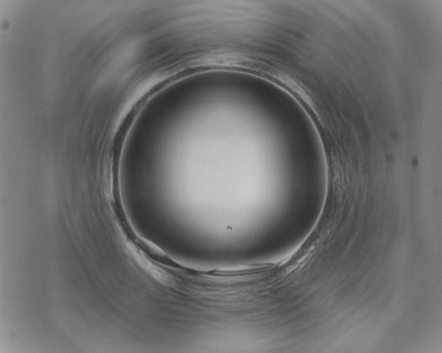 X0000071851131200606301331