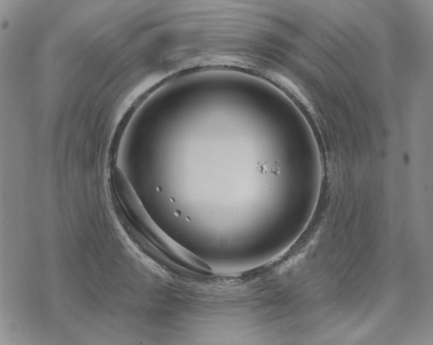 X0000071851133200606301331