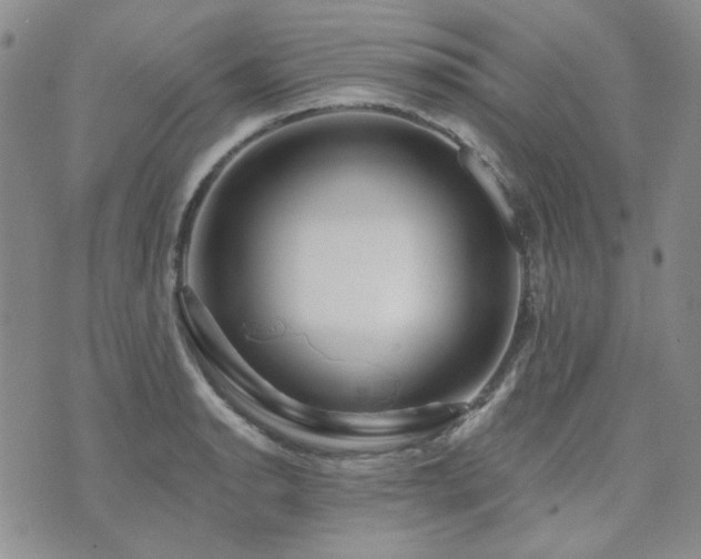 X0000071851134200606301331