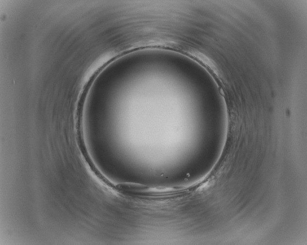 X0000071851135200606301331