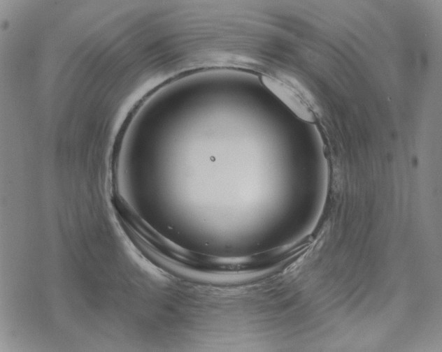 X0000071851136200606301331