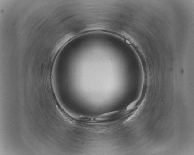 X0000071851137200606301331