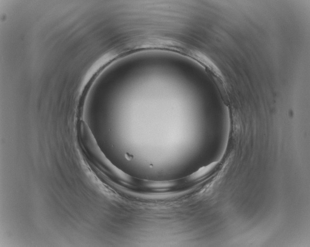 X0000071851138200606301331