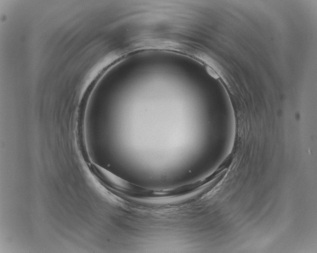 X0000071851139200606301331