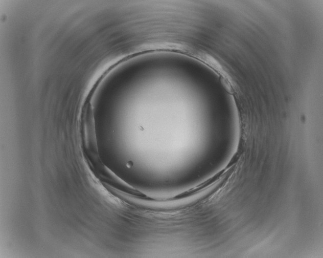 X0000071851140200606301331