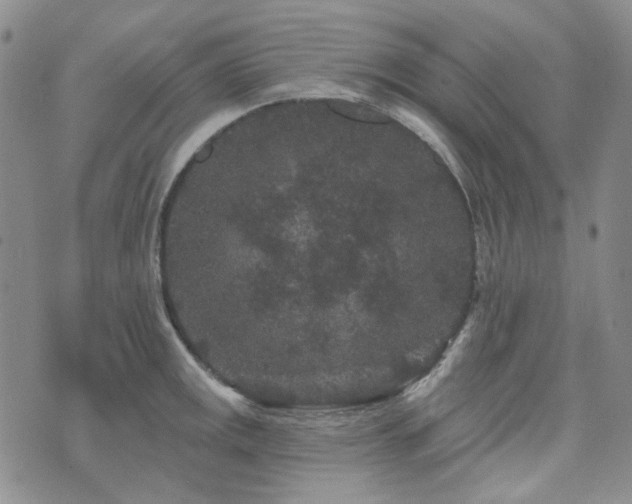 X0000071851141200606301331