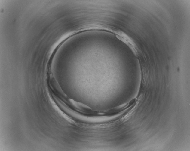 X0000071851142200606301331