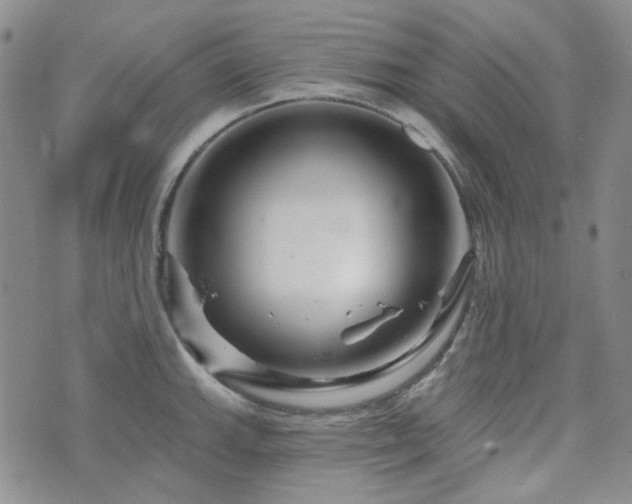 X0000071851143200606301331