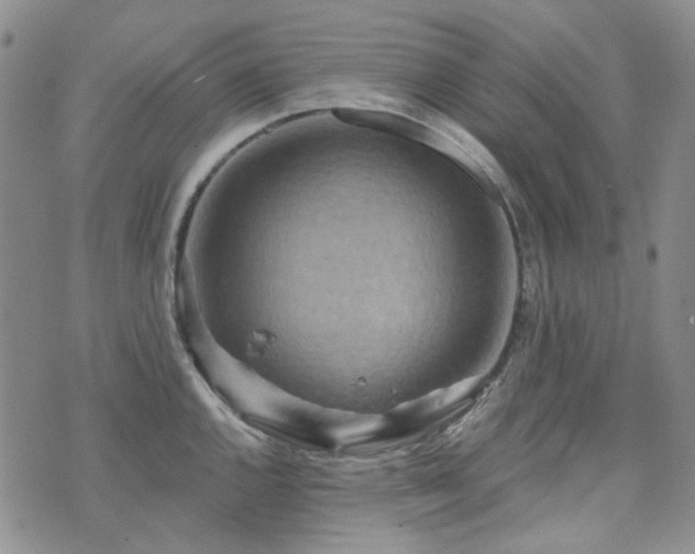 X0000071851144200606301331