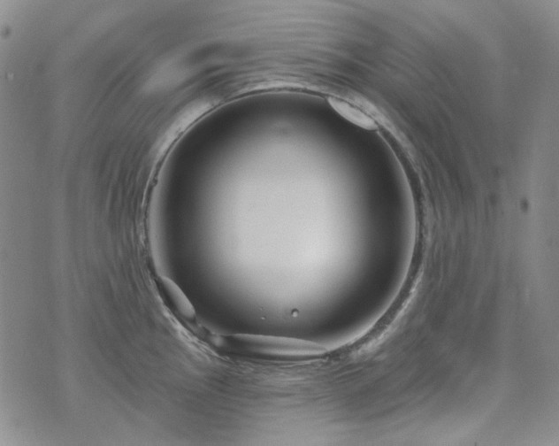 X0000071851145200606301331