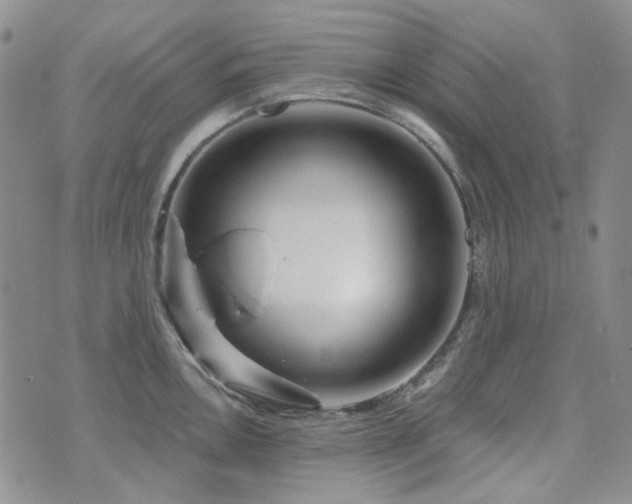 X0000071851146200606301331