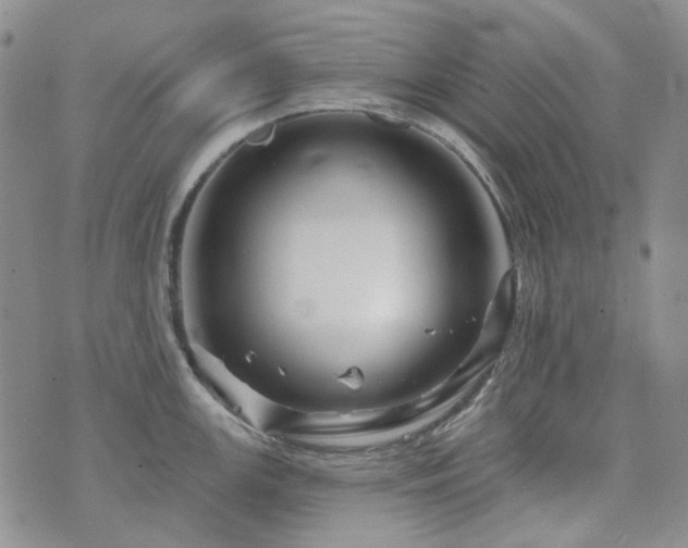 X0000071851147200606301331