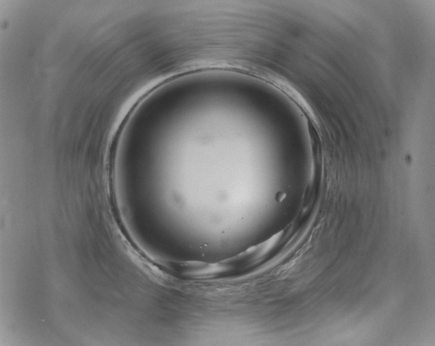 X0000071851148200606301331