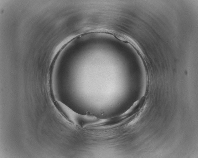 X0000071851149200606301331