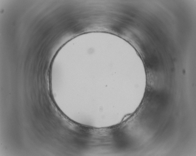 X0000071851150200606301331