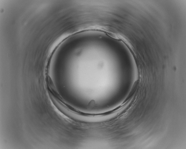 X0000071851151200606301331