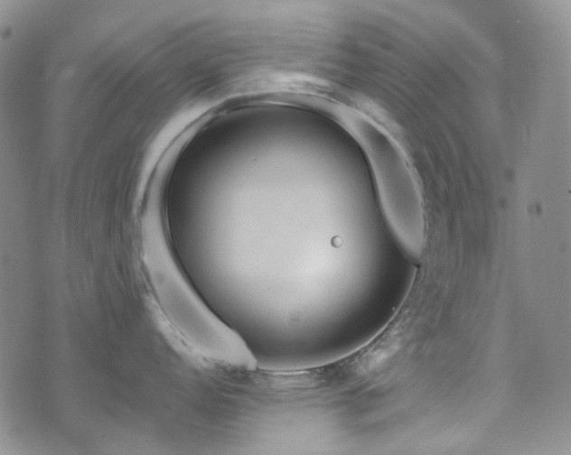 X0000071851152200606301331