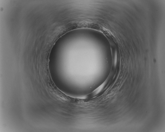 X0000071851153200606301330