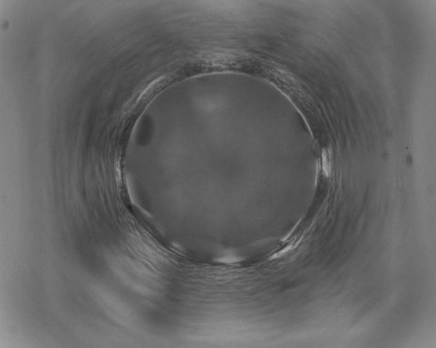 X0000071851155200606301330