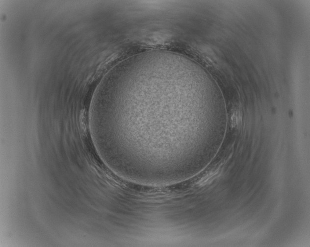 X0000071851156200606301330