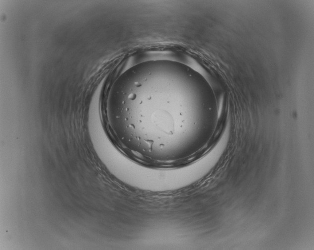 X0000071851157200606301330