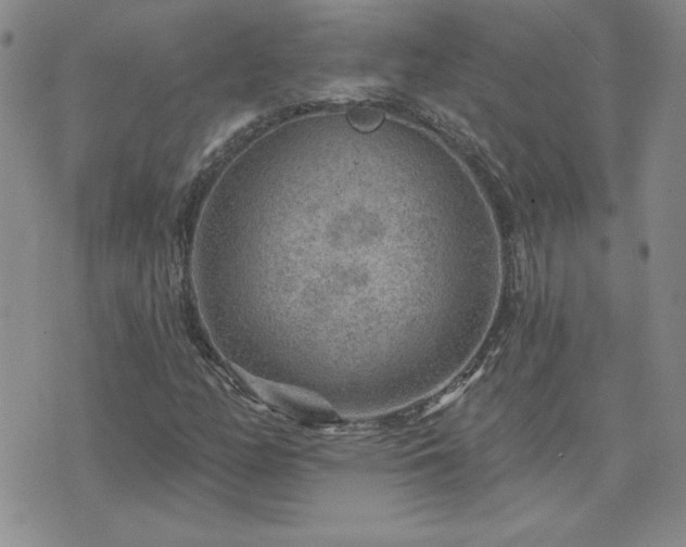 X0000071851158200606301330