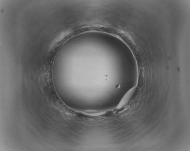 X0000071851159200606301330