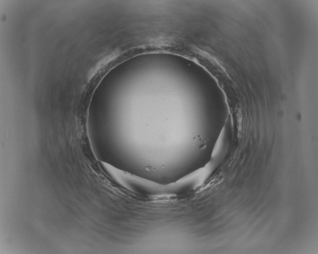 X0000071851160200606301330