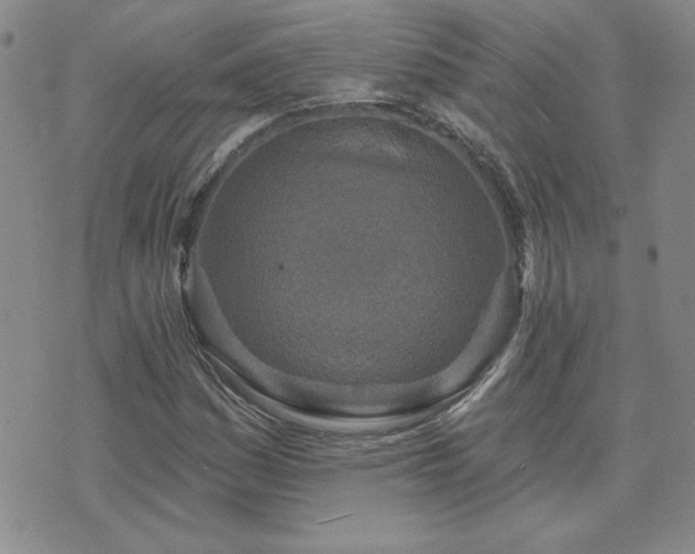 X0000071851161200606301330