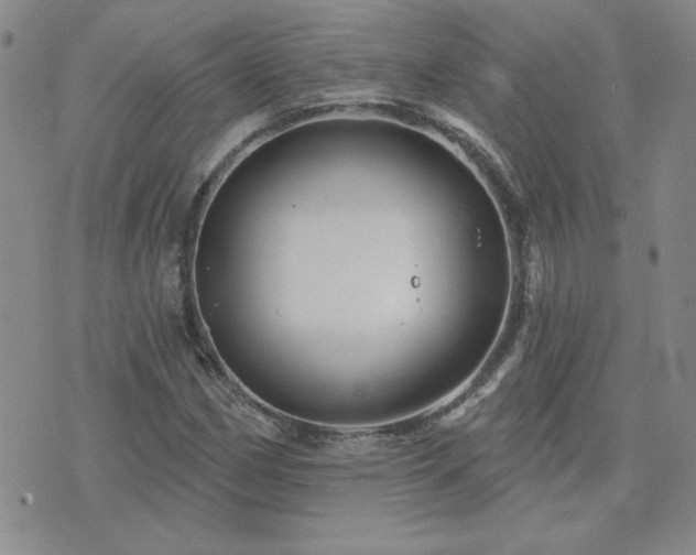 X0000071851162200606301330