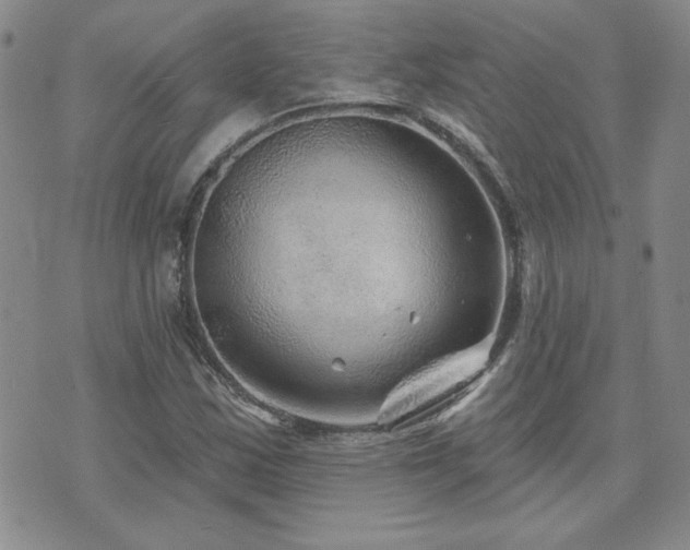 X0000071851163200606301330