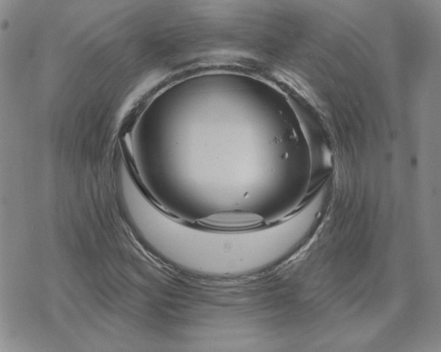 X0000071851164200606301330