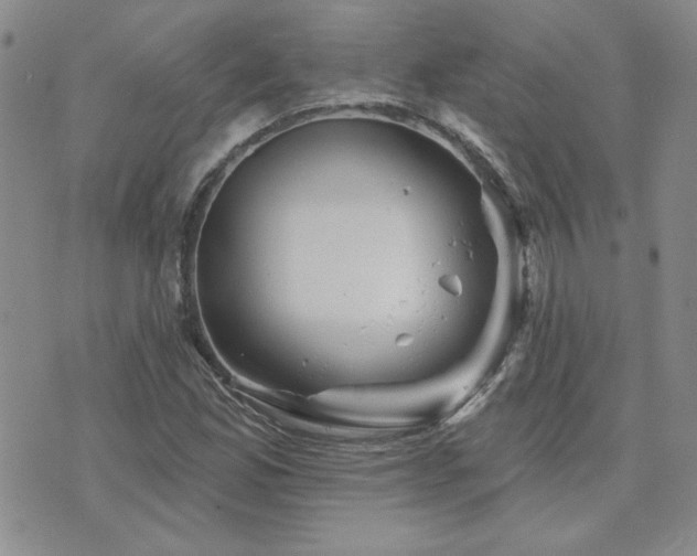 X0000071851165200606301330