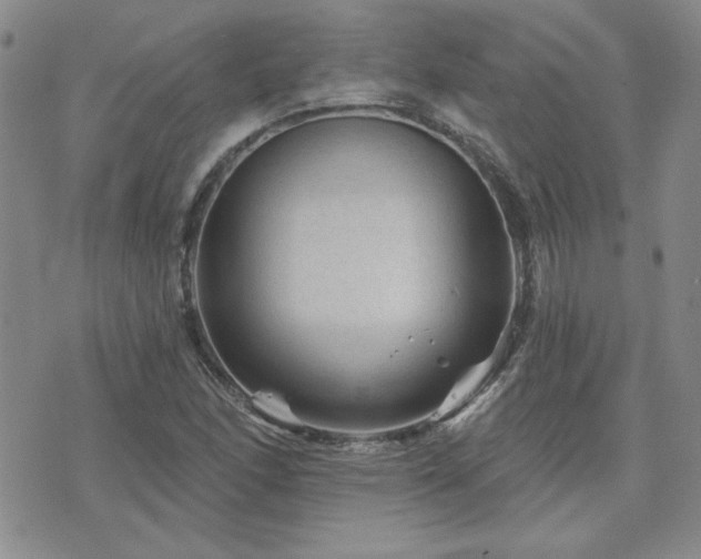 X0000071851166200606301330