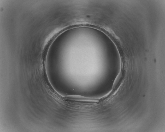 X0000071851167200606301330